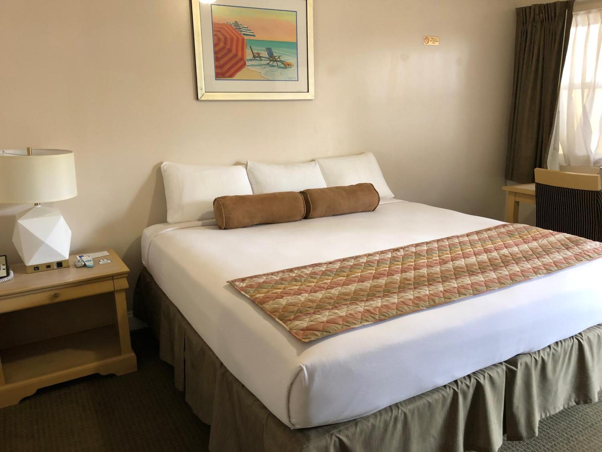 Standard Accessible Hotel Room