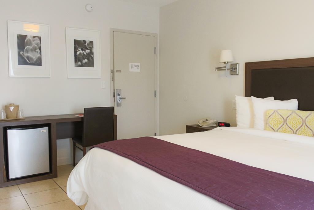 Standard King Room - No Resort Fee