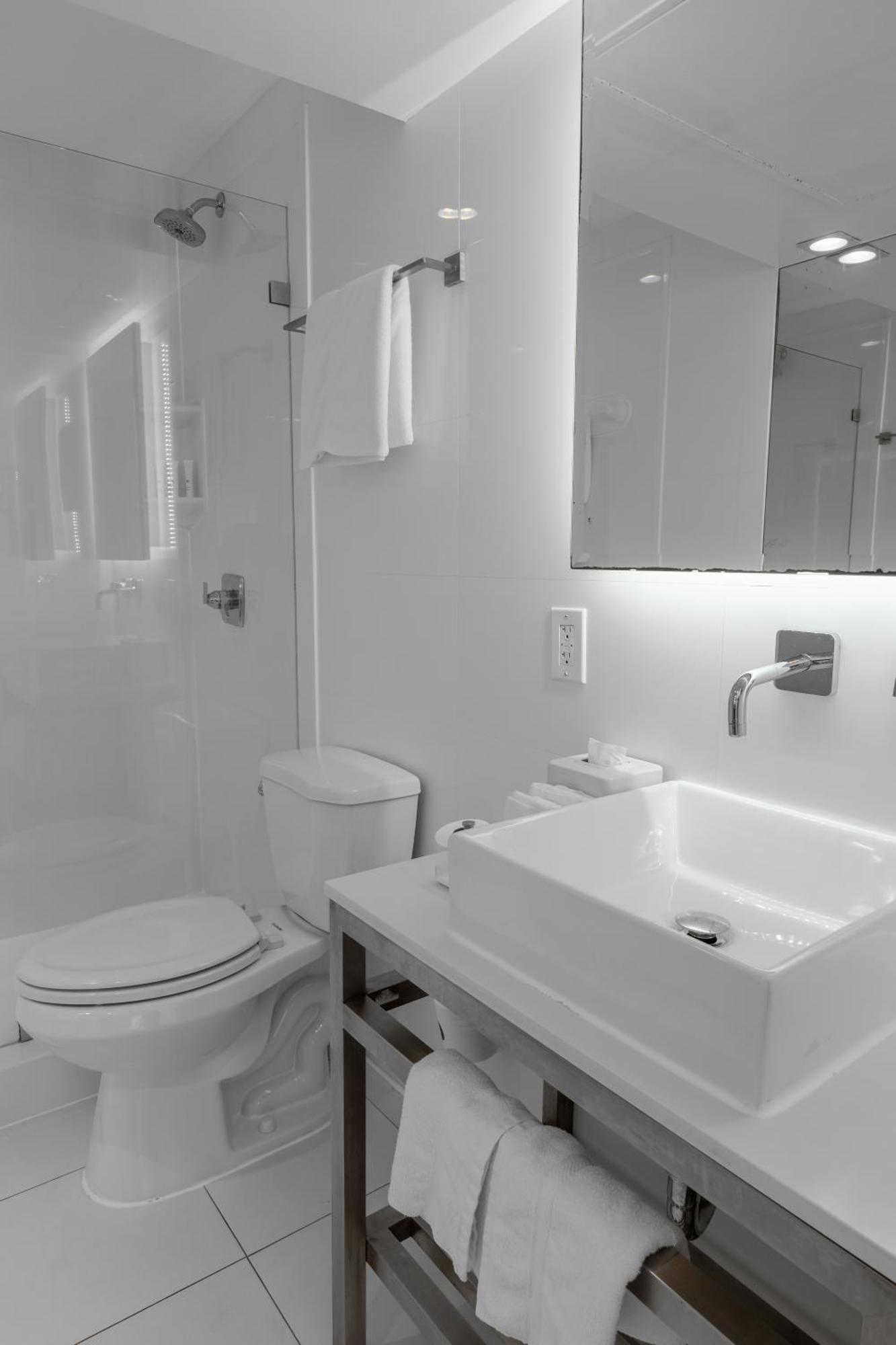 Large Suite