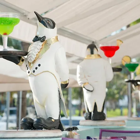 Penguin Hotel-3